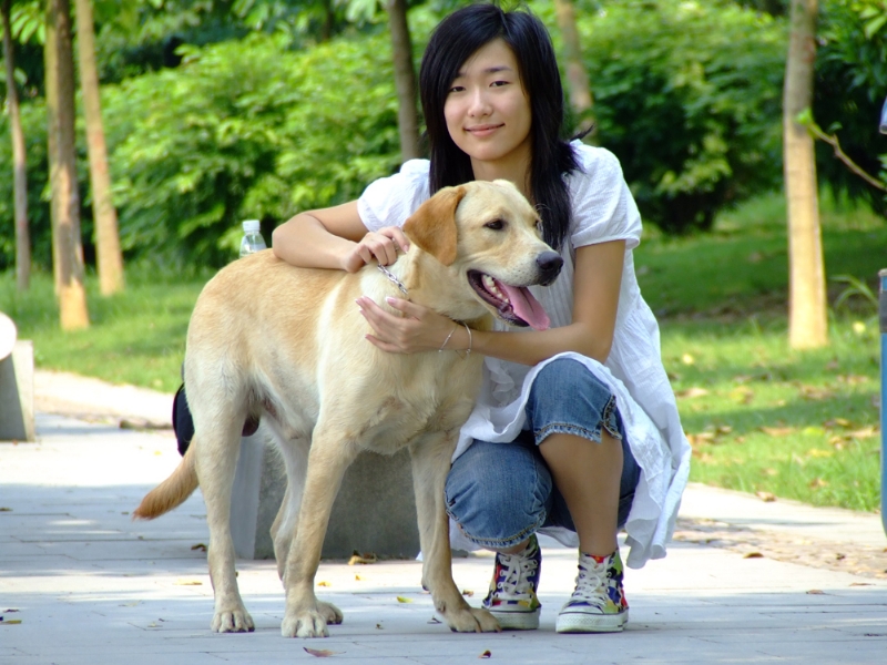 风中的绿叶的第一张照片--阜阳相亲服务中心