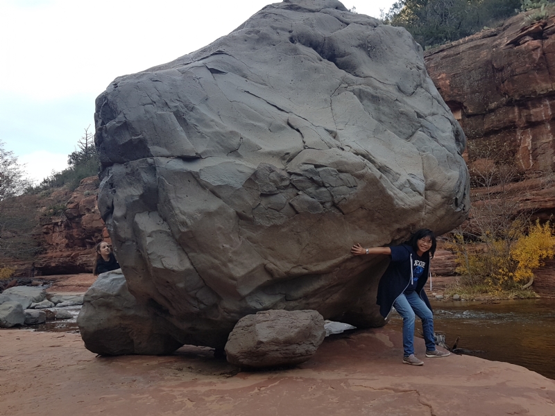 Apple的第一张照片--阜阳相亲服务中心