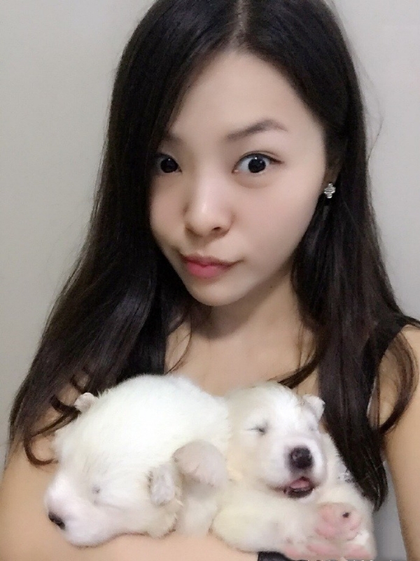 如果可以的第三张照片--阜阳相亲服务中心