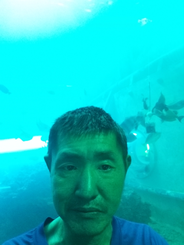 陸戰隊的第一张照片--阜阳相亲服务中心