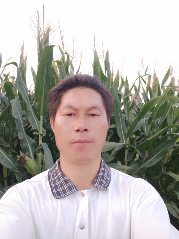 四海游龙的第二张照片--阜阳相亲服务中心