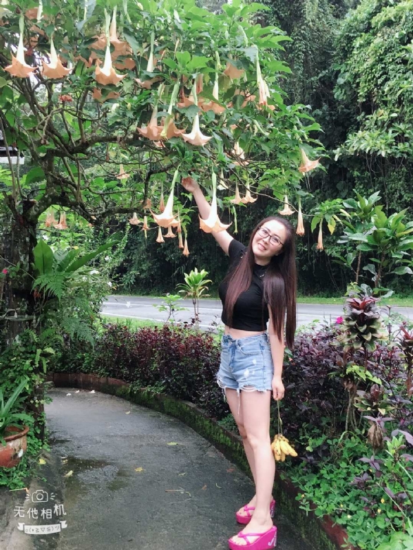 离异单身无子的第二张照片--阜阳相亲服务中心