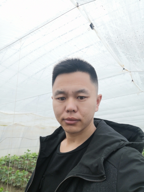 宇成的第二张照片--阜阳相亲服务中心