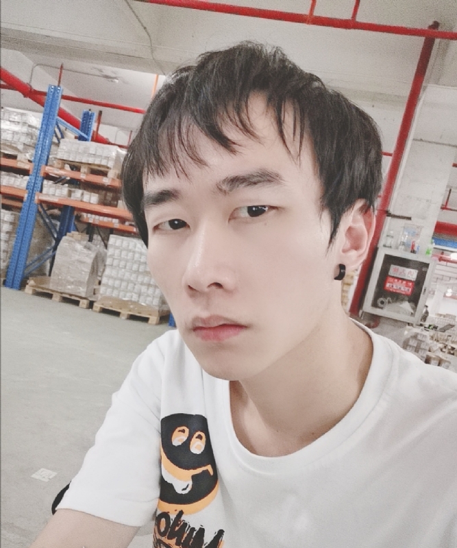 巷子里的猫的第一张照片--阜阳相亲服务中心