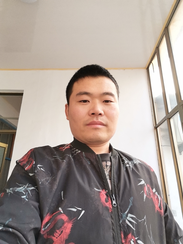 会飞的猪的第一张照片--阜阳相亲服务中心