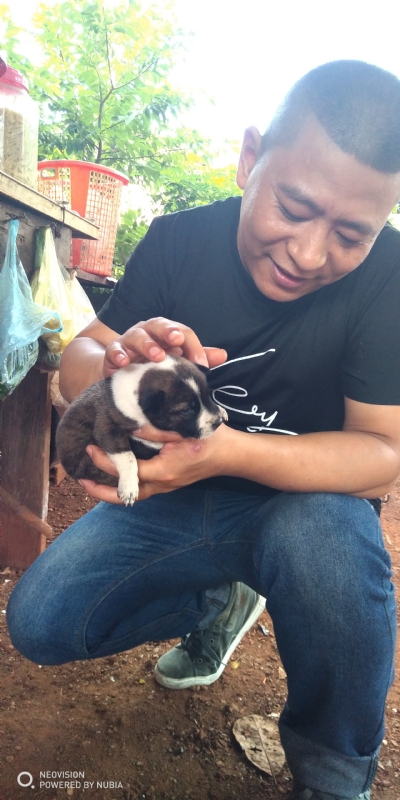 深圳相亲的第一张照片--阜阳相亲服务中心