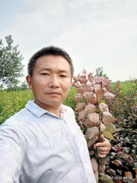 孩子爸的第一张照片--阜阳相亲服务中心