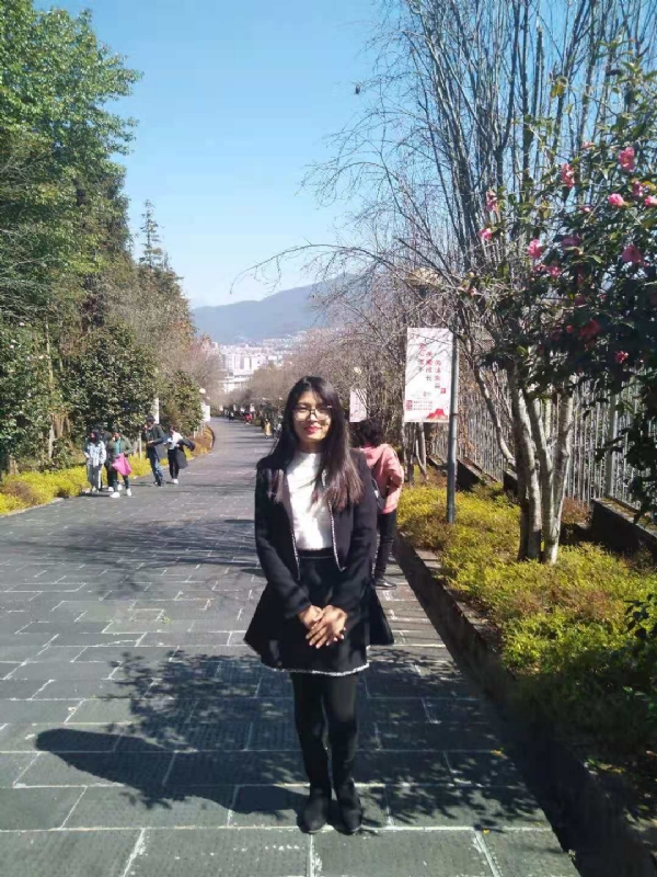 窗台上的桔梗的第一张照片--阜阳相亲服务中心