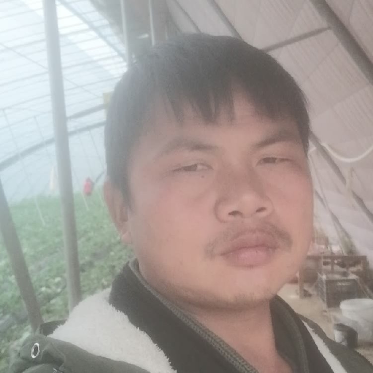 孤狼‘的第一张照片--阜阳相亲服务中心