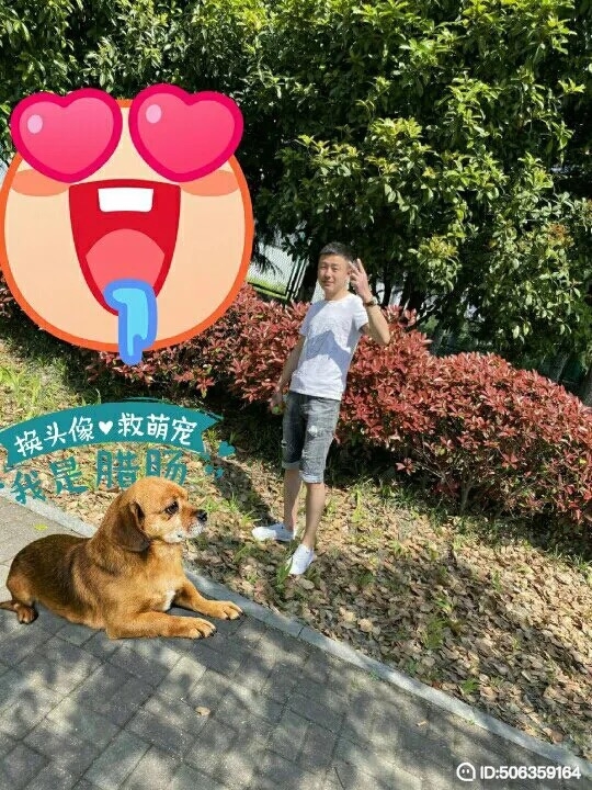 我若不坚强谁替我勇敢的第一张照片--阜阳相亲服务中心