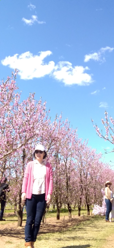 Grace的第二张照片--阜阳相亲服务中心