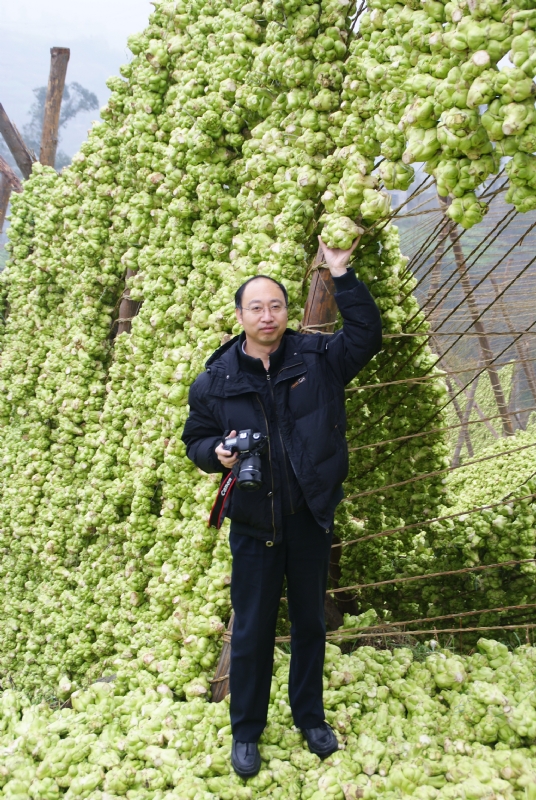 蓝色的海的第一张照片--阜阳相亲服务中心