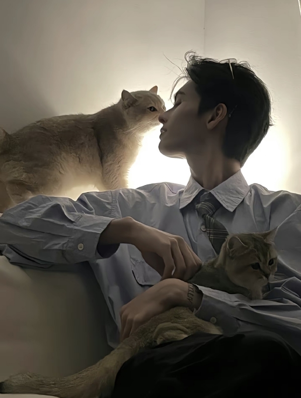 怪猫的第一张照片--阜阳相亲服务中心