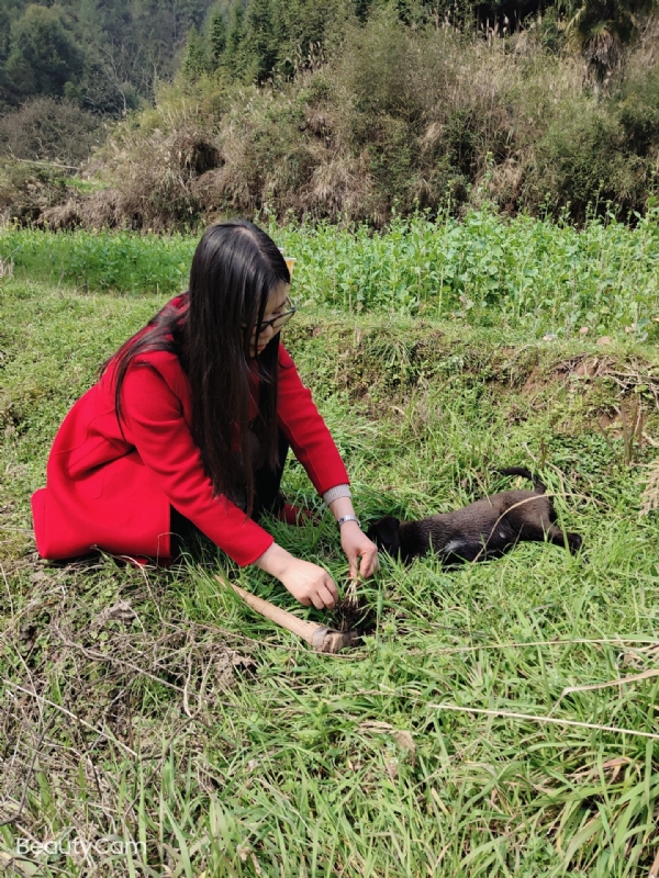 下一个春和秋的第一张照片--阜阳相亲服务中心