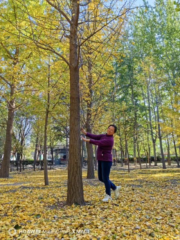 Shirley的第一张照片--阜阳相亲服务中心