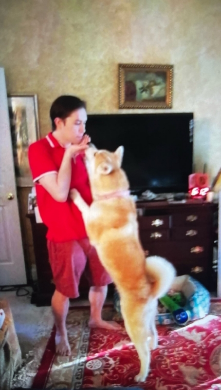 Leluch的第一张照片--阜阳相亲服务中心