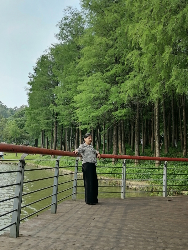 遗失的记忆的第二张照片--阜阳相亲服务中心