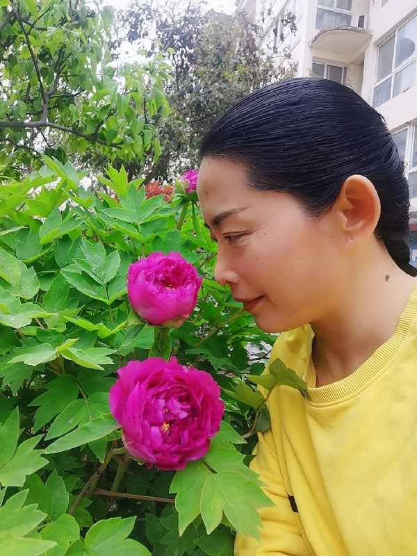 厚德载物的第一张照片--阜阳相亲服务中心