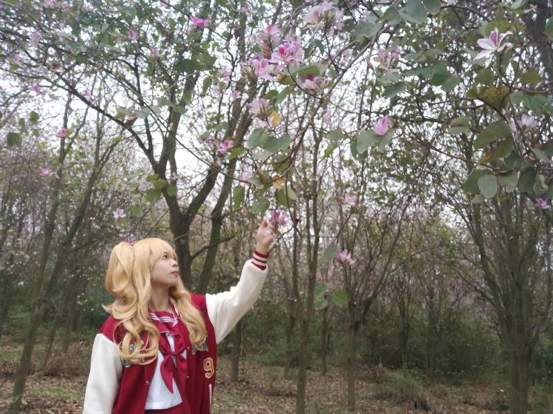 暮秋的第二张照片--阜阳相亲服务中心