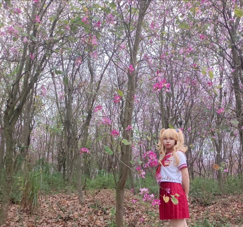 暮秋的第三张照片--阜阳相亲服务中心