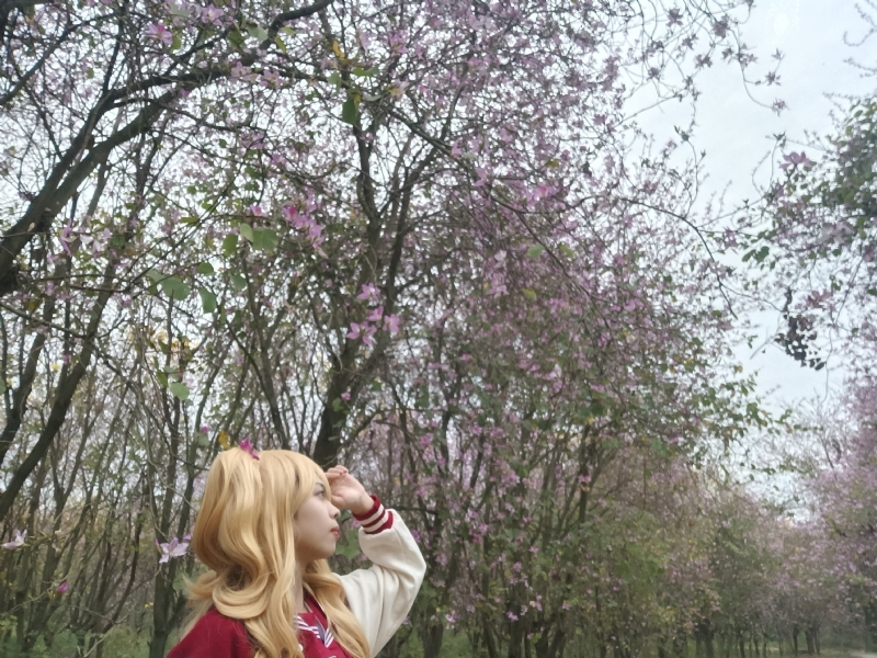 暮秋的第五张照片--阜阳相亲服务中心