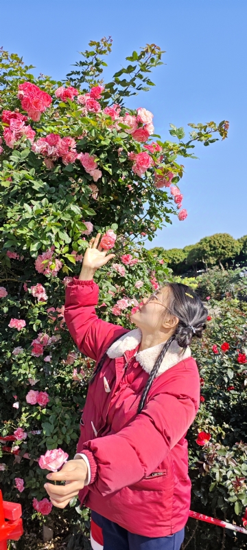 狗狗的第一张照片--阜阳相亲服务中心