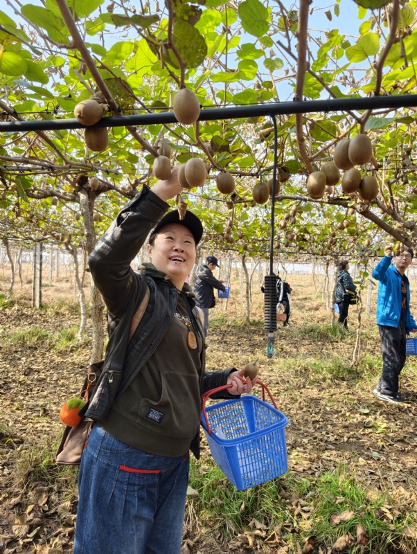 夜莺的第四张照片--阜阳相亲服务中心